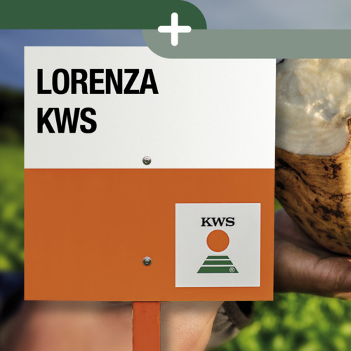 LORENZA KWS