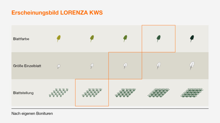 LORENZA KWS