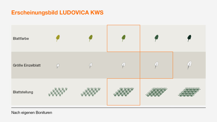 LUDOVICA KWS