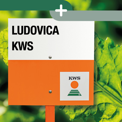 LUDOVICA KWS