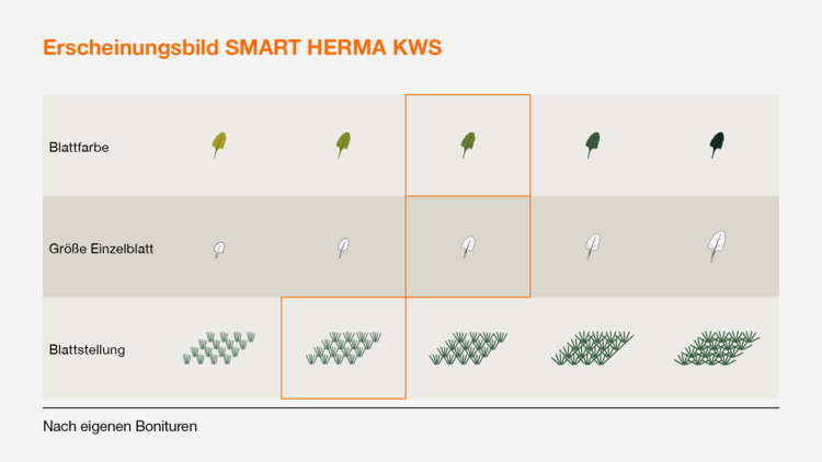 SMART HERMA KWS