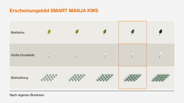 SMART MANJA KWS