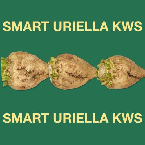 SMART URIELLA KWS