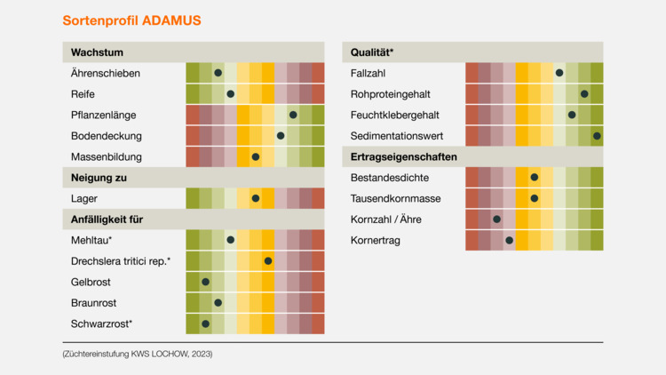 ADAMUS