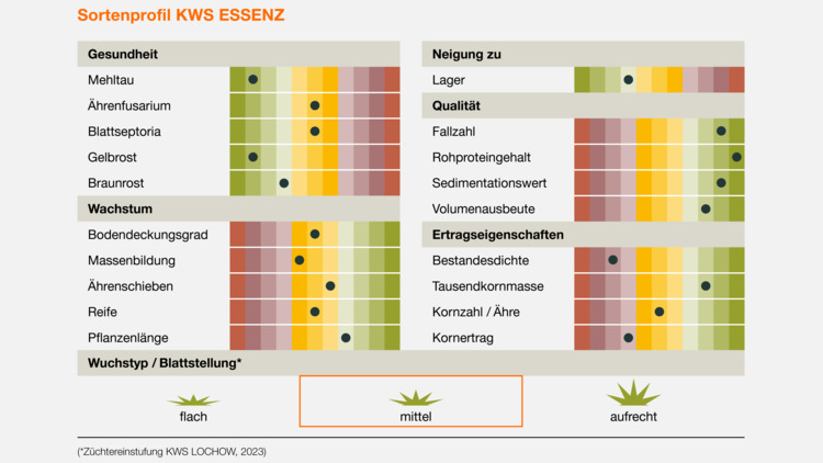 KWS ESSENZ