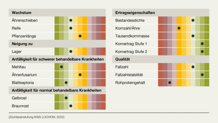 KWS EXTASE