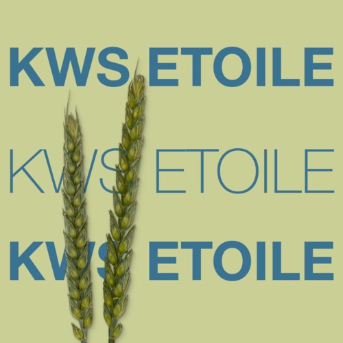 KWS ETOILE