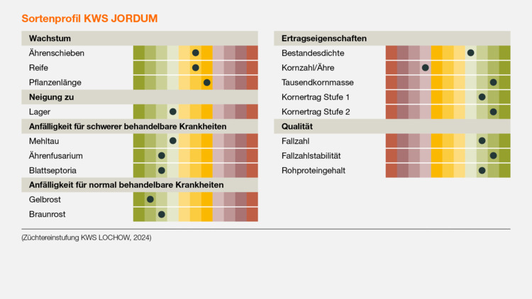 KWS JORDUM