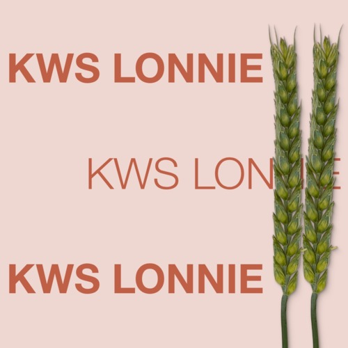 KWS LONNIE
