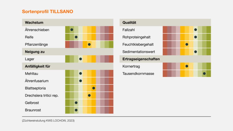 TILLSANO