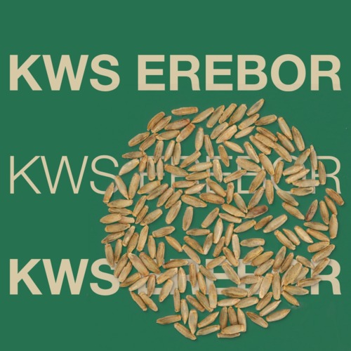 KWS EREBOR