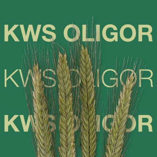 KWS OLIGOR