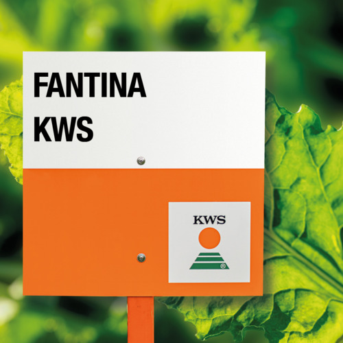 FANTINA KWS