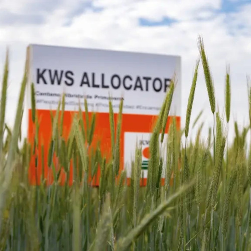 KWS ALLOCATOR