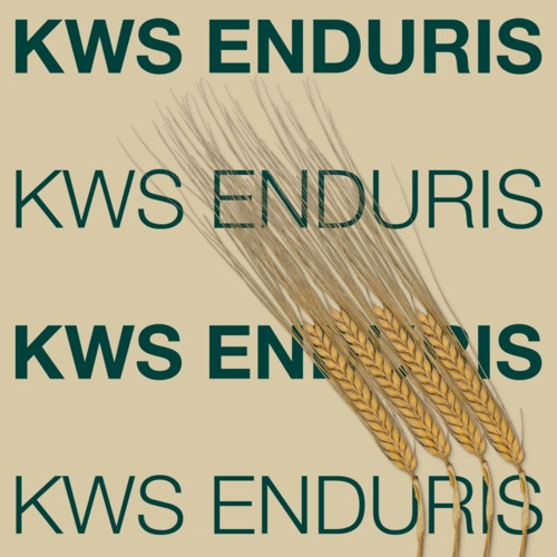KWS ENDURIS