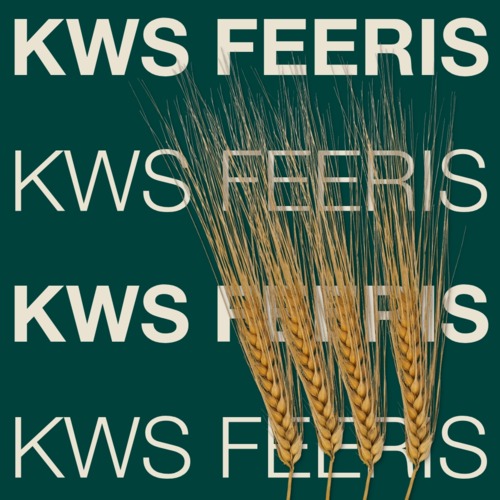 KWS FEERIS
