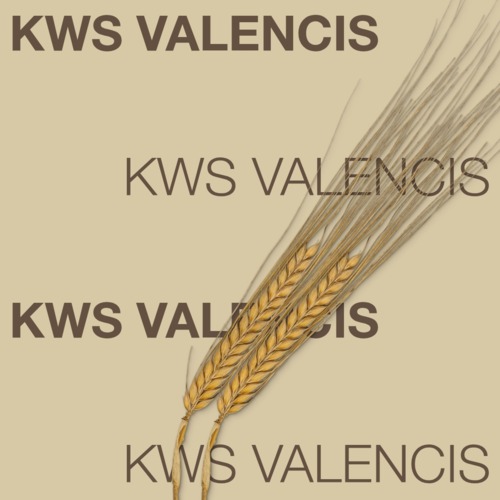 KWS VALENCIS