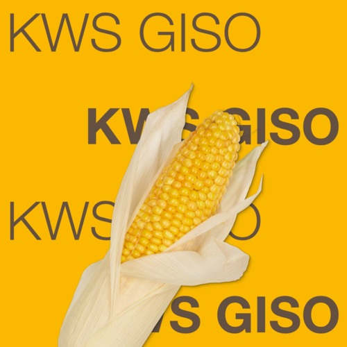 KWS GISO