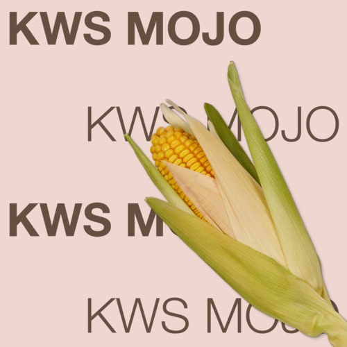 KWS MOJO