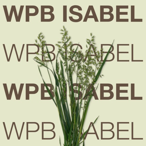 WPB ISABEL