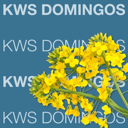 KWS DOMINGOS