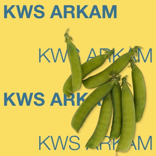 KWS ARKAM