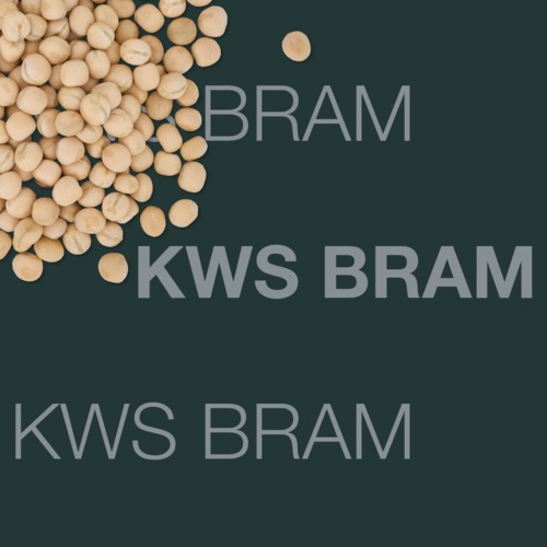 KWS BRAM