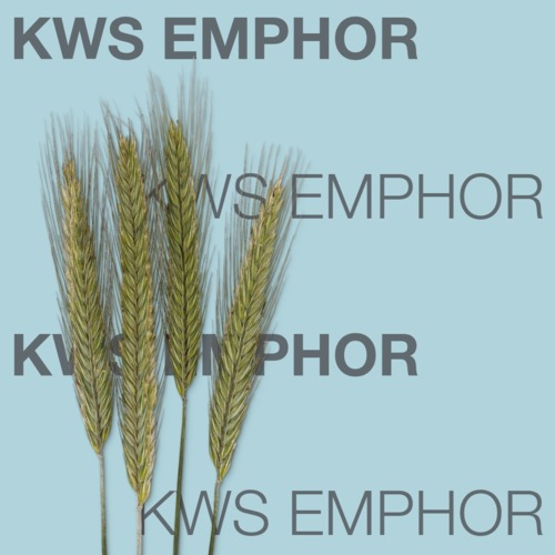 KWS EMPHOR