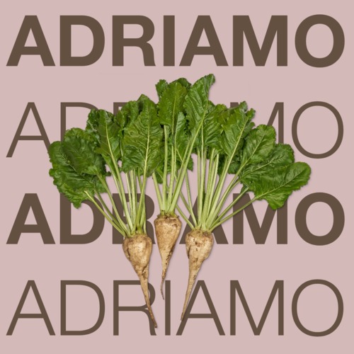 ADRIAMO