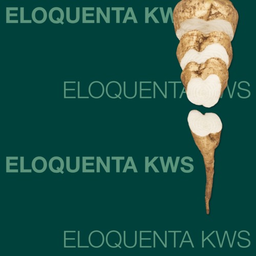ELOQUENTA KWS