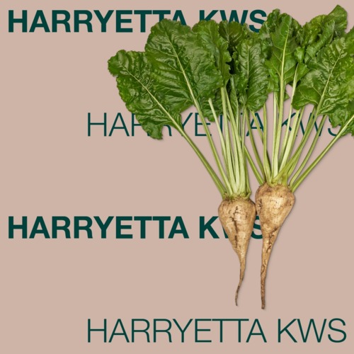 HARRYETTA KWS