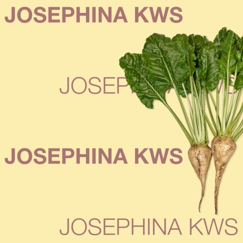 JOSEPHINA KWS