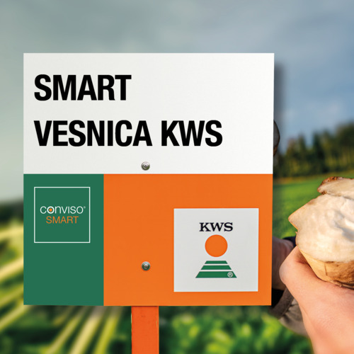 SMART VESNICA KWS