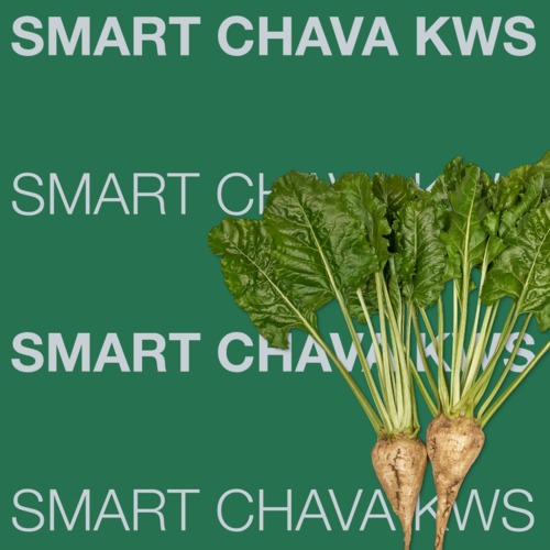 SMART CHAVA KWS