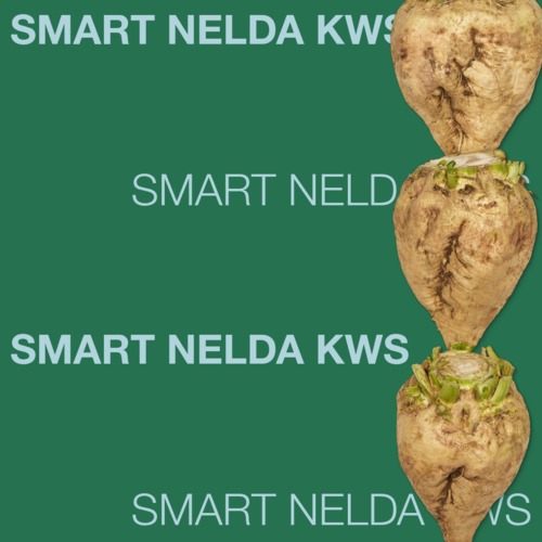 SMART NELDA KWS
