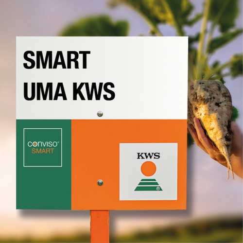 SMART UMA KWS