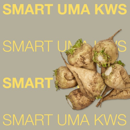 SMART UMA KWS