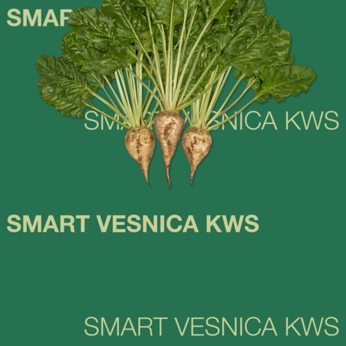 SMART VESNICA KWS
