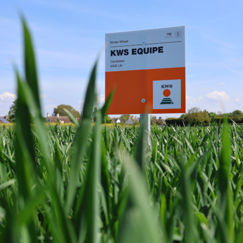 KWS EQUIPE