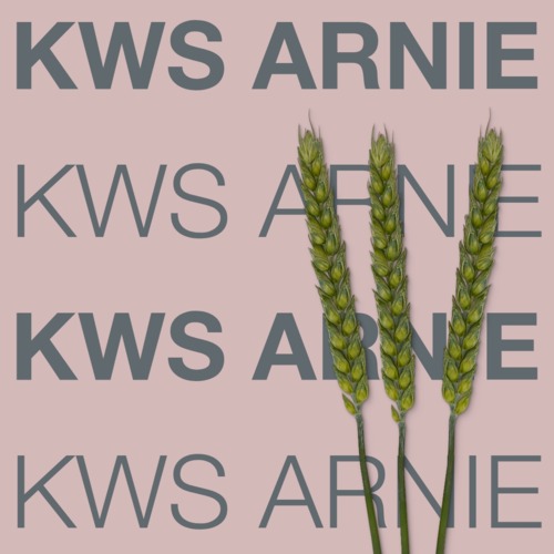 KWS ARNIE