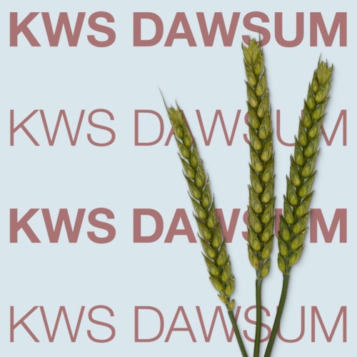 KWS DAWSUM