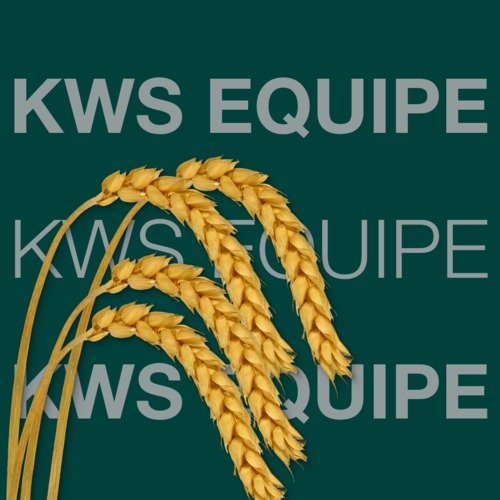 KWS EQUIPE