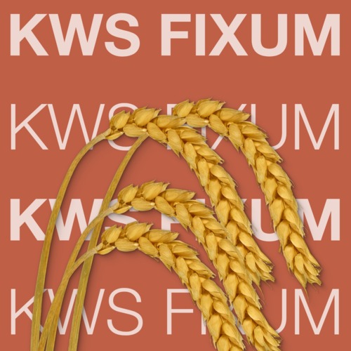 KWS FIXUM