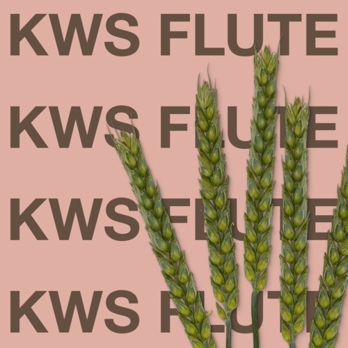 KWS FLUTE
