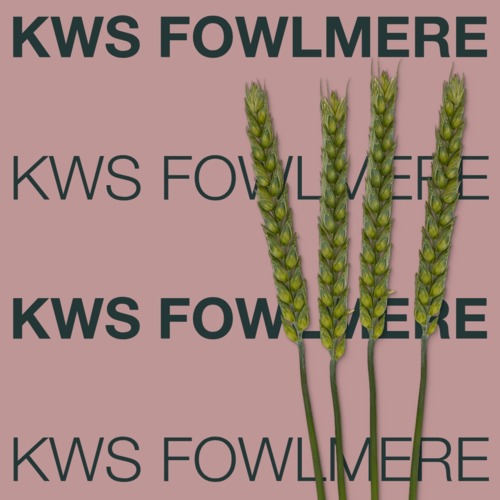 KWS FOWLMERE
