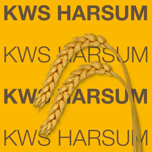 KWS HARSUM