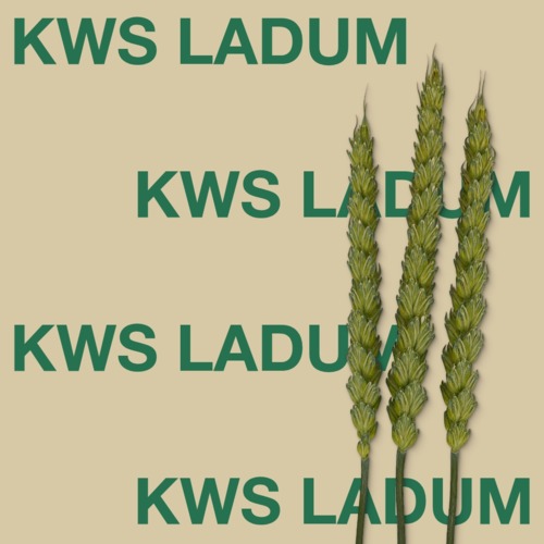 KWS LADUM