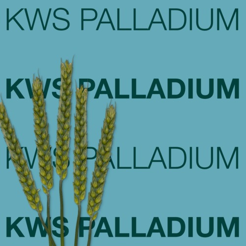 KWS PALLADIUM