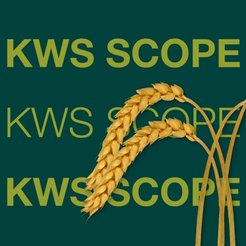 KWS SCOPE