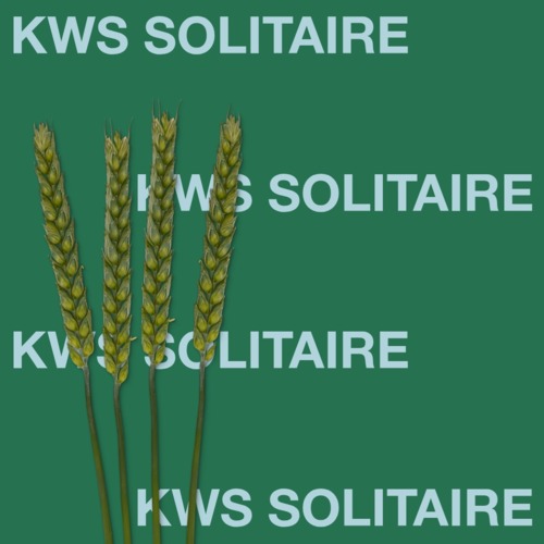 KWS SOLITAIRE